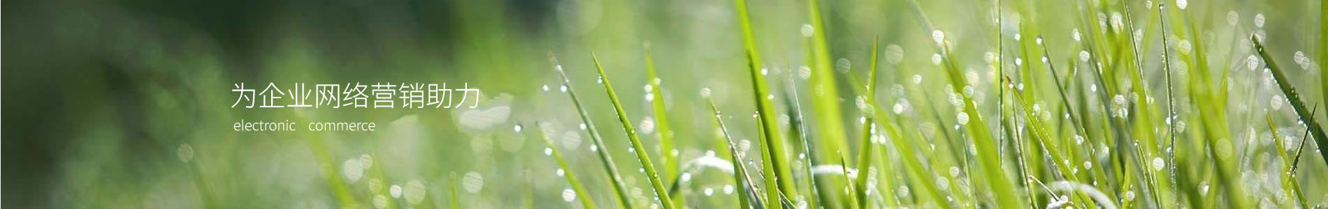 ݺе豸޹˾